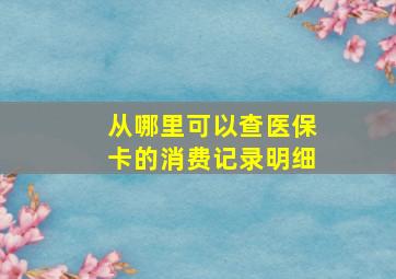 从哪里可以查医保卡的消费记录明细