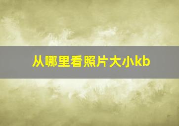 从哪里看照片大小kb