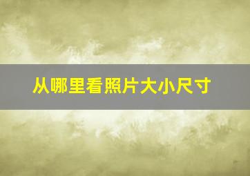 从哪里看照片大小尺寸