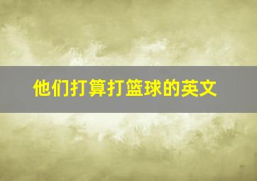 他们打算打篮球的英文