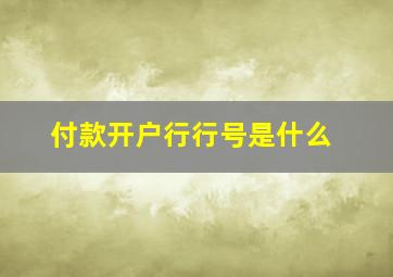 付款开户行行号是什么