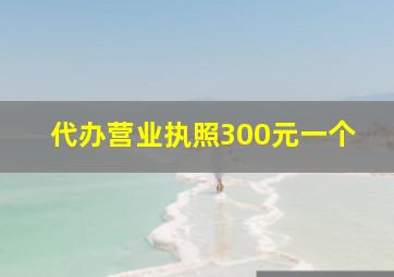 代办营业执照300元一个