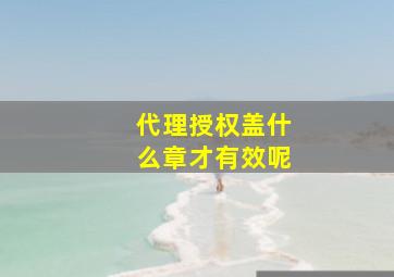 代理授权盖什么章才有效呢