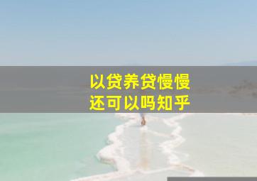 以贷养贷慢慢还可以吗知乎