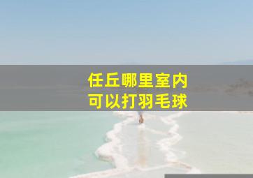 任丘哪里室内可以打羽毛球