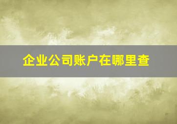 企业公司账户在哪里查