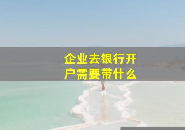 企业去银行开户需要带什么