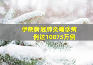 伊朗新冠肺炎确诊病例达10075万例