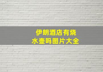 伊朗酒店有烧水壶吗图片大全