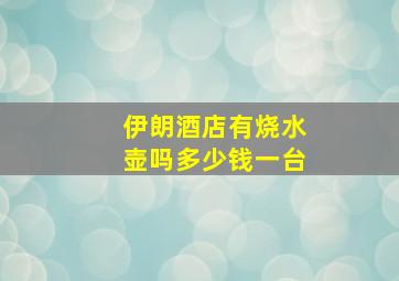 伊朗酒店有烧水壶吗多少钱一台