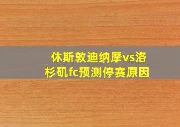 休斯敦迪纳摩vs洛杉矶fc预测停赛原因