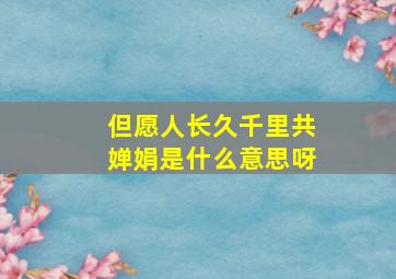 但愿人长久千里共婵娟是什么意思呀