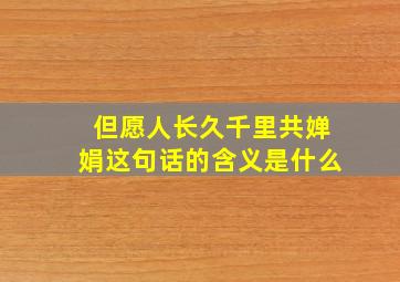 但愿人长久千里共婵娟这句话的含义是什么