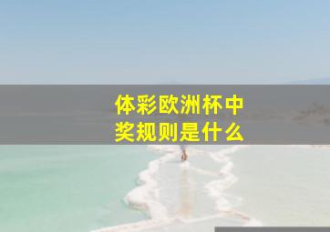 体彩欧洲杯中奖规则是什么