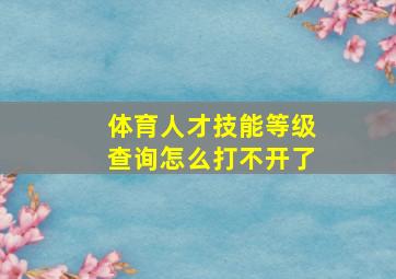 体育人才技能等级查询怎么打不开了