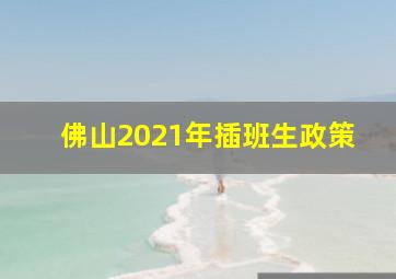 佛山2021年插班生政策