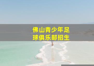 佛山青少年足球俱乐部招生