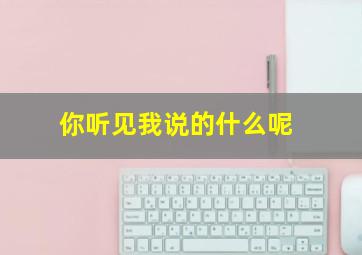 你听见我说的什么呢