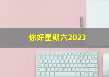 你好星期六2023