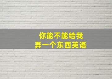 你能不能给我弄一个东西英语