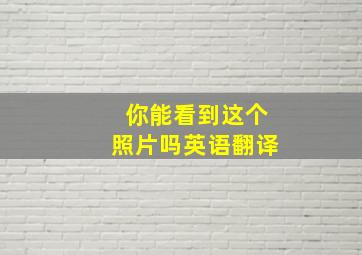 你能看到这个照片吗英语翻译