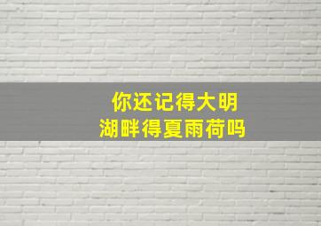 你还记得大明湖畔得夏雨荷吗