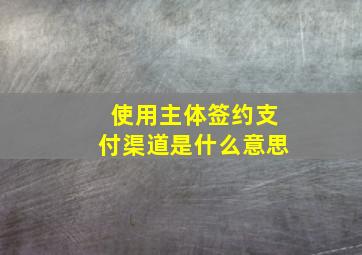 使用主体签约支付渠道是什么意思