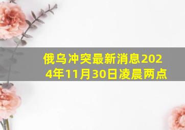 俄乌冲突最新消息2024年11月30日凌晨两点