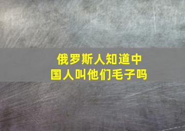 俄罗斯人知道中国人叫他们毛子吗