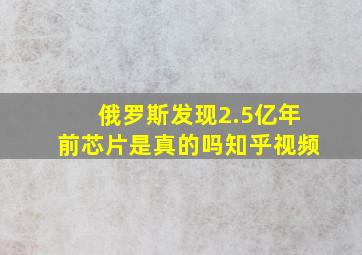 俄罗斯发现2.5亿年前芯片是真的吗知乎视频