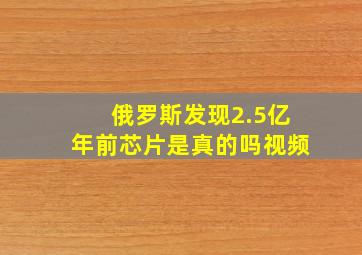 俄罗斯发现2.5亿年前芯片是真的吗视频