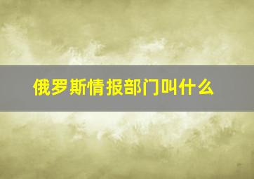 俄罗斯情报部门叫什么