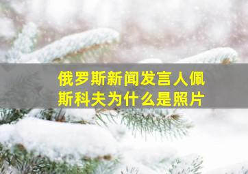 俄罗斯新闻发言人佩斯科夫为什么是照片