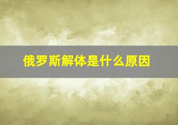 俄罗斯解体是什么原因