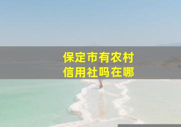 保定市有农村信用社吗在哪