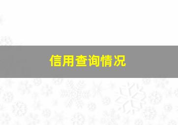 信用查询情况