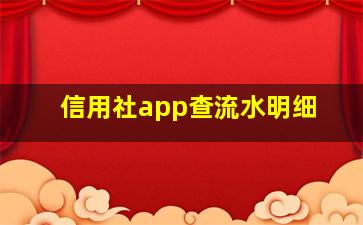 信用社app查流水明细