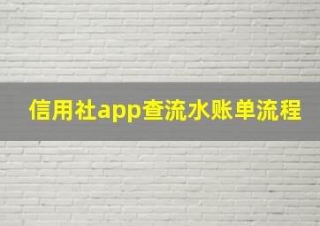 信用社app查流水账单流程