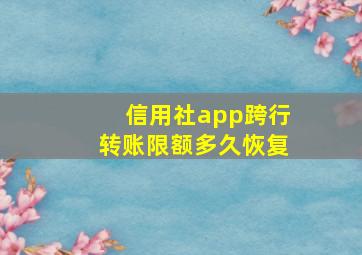 信用社app跨行转账限额多久恢复