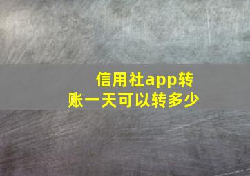 信用社app转账一天可以转多少