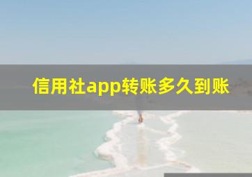 信用社app转账多久到账