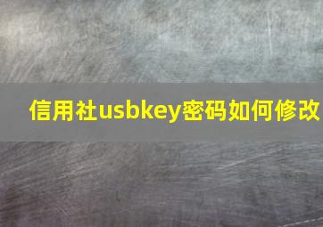 信用社usbkey密码如何修改