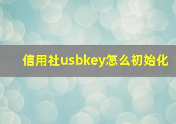 信用社usbkey怎么初始化