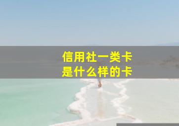 信用社一类卡是什么样的卡