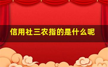 信用社三农指的是什么呢