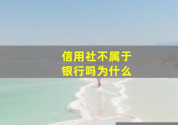 信用社不属于银行吗为什么