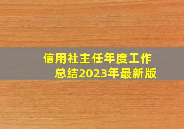 信用社主任年度工作总结2023年最新版