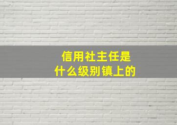 信用社主任是什么级别镇上的