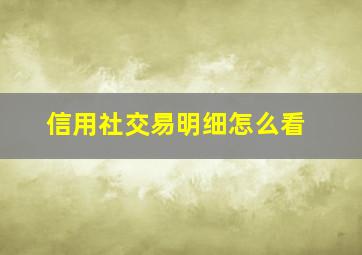 信用社交易明细怎么看