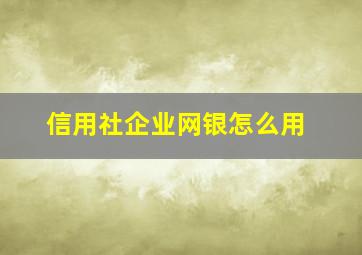 信用社企业网银怎么用